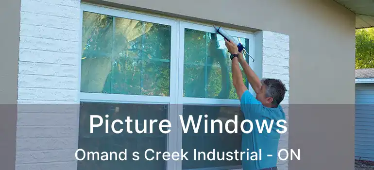  Picture Windows Omand s Creek Industrial - ON