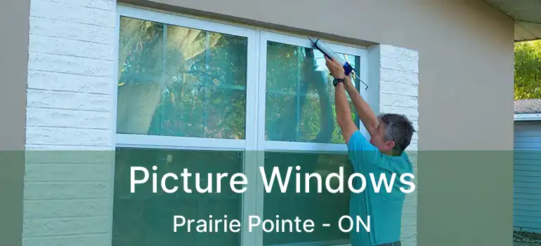  Picture Windows Prairie Pointe - ON