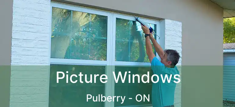  Picture Windows Pulberry - ON