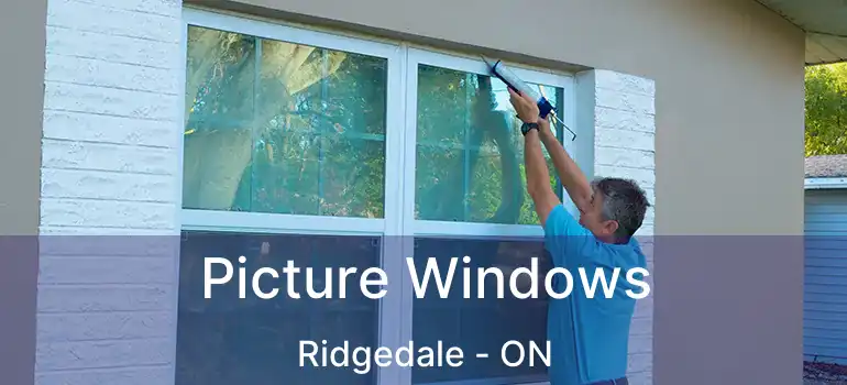  Picture Windows Ridgedale - ON