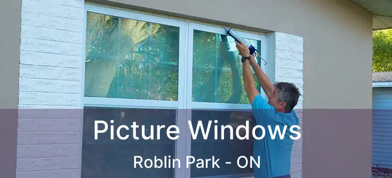  Picture Windows Roblin Park - ON