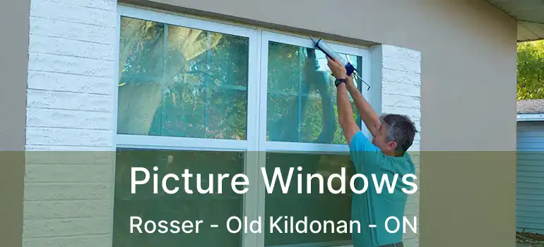  Picture Windows Rosser - Old Kildonan - ON