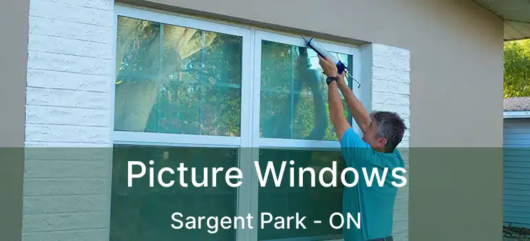  Picture Windows Sargent Park - ON