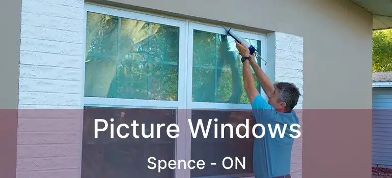  Picture Windows Spence - ON