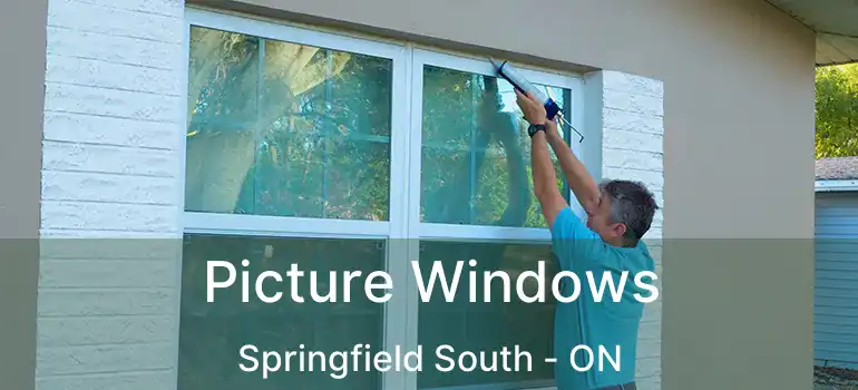  Picture Windows Springfield South - ON