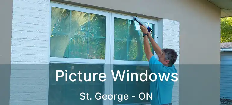  Picture Windows St. George - ON