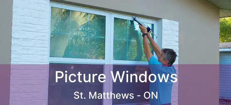  Picture Windows St. Matthews - ON