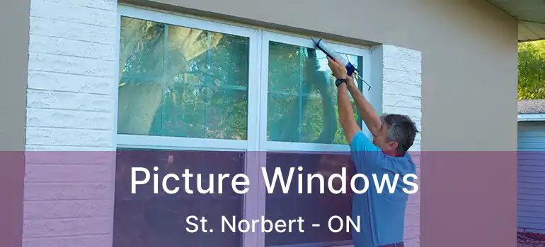  Picture Windows St. Norbert - ON