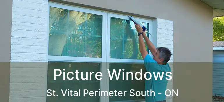  Picture Windows St. Vital Perimeter South - ON