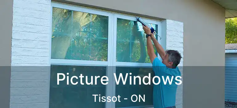  Picture Windows Tissot - ON