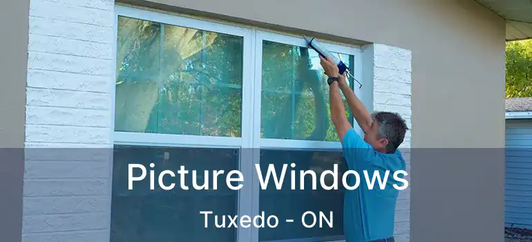  Picture Windows Tuxedo - ON