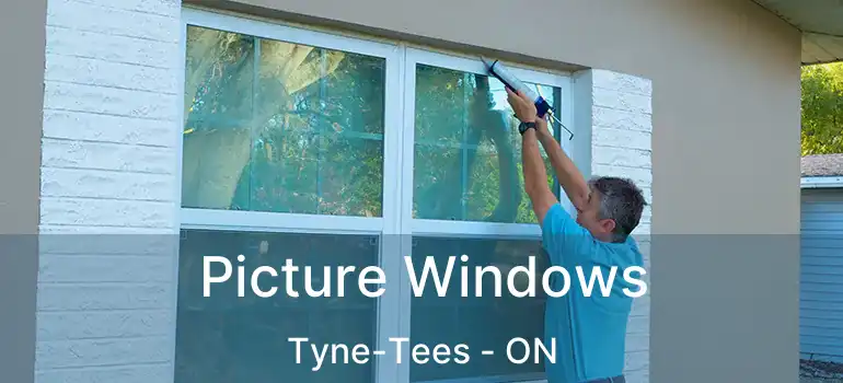  Picture Windows Tyne-Tees - ON