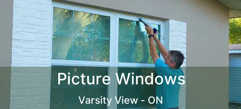  Picture Windows Varsity View - ON
