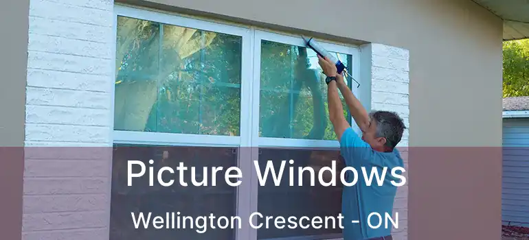  Picture Windows Wellington Crescent - ON