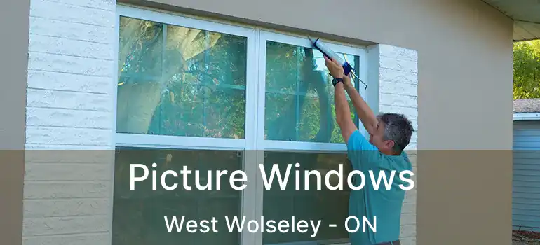  Picture Windows West Wolseley - ON