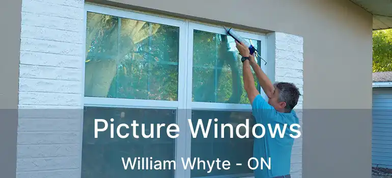  Picture Windows William Whyte - ON