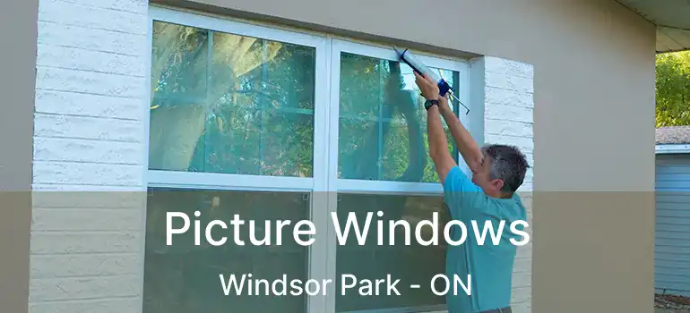  Picture Windows Windsor Park - ON