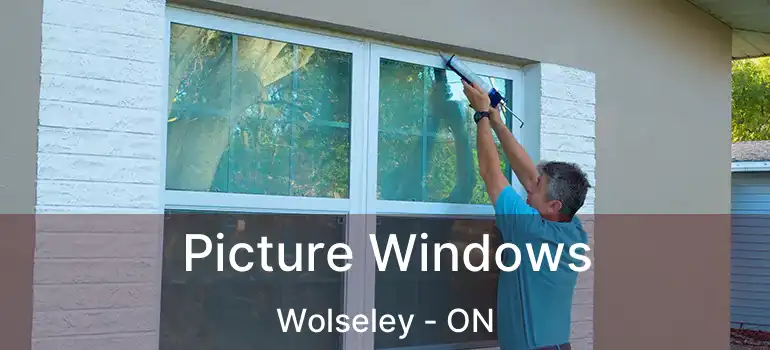  Picture Windows Wolseley - ON