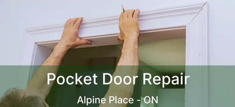  Pocket Door Repair Alpine Place - ON