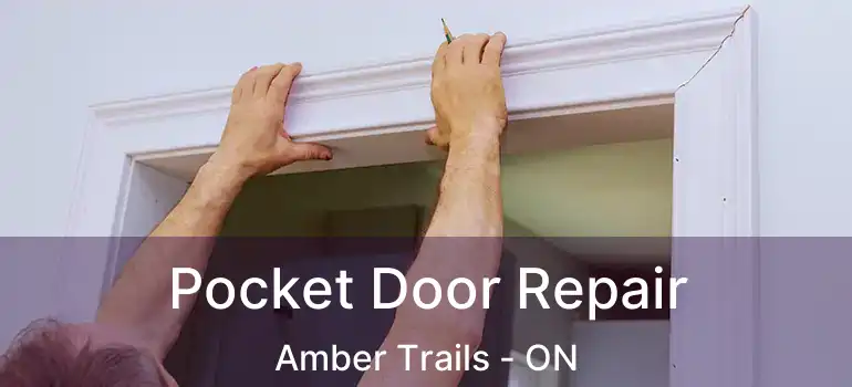  Pocket Door Repair Amber Trails - ON