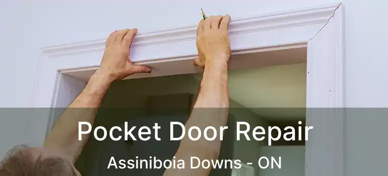  Pocket Door Repair Assiniboia Downs - ON