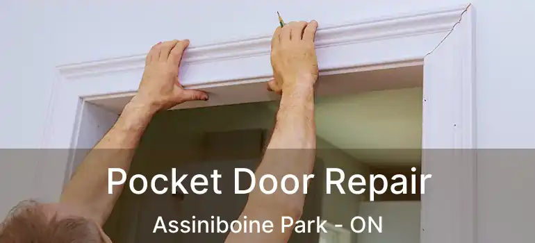  Pocket Door Repair Assiniboine Park - ON