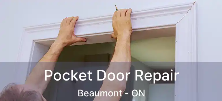  Pocket Door Repair Beaumont - ON
