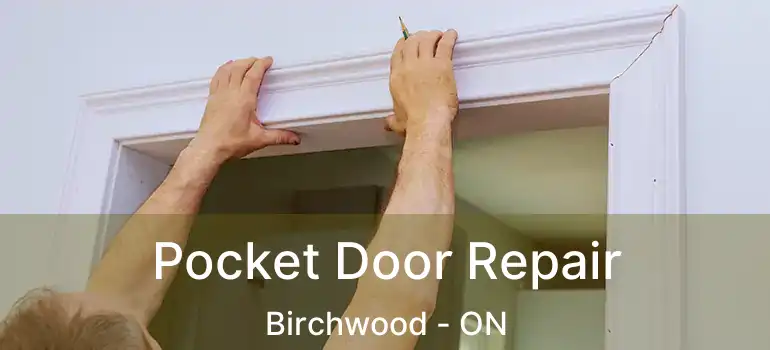  Pocket Door Repair Birchwood - ON