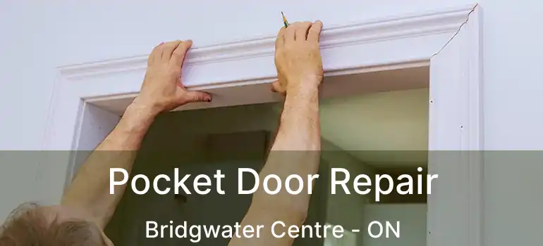  Pocket Door Repair Bridgwater Centre - ON