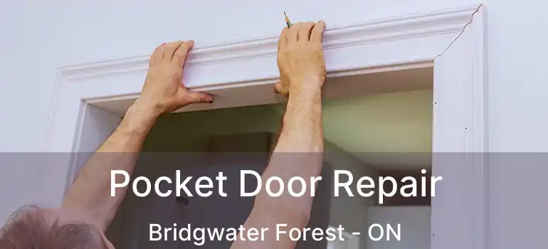 Pocket Door Repair Bridgwater Forest - ON