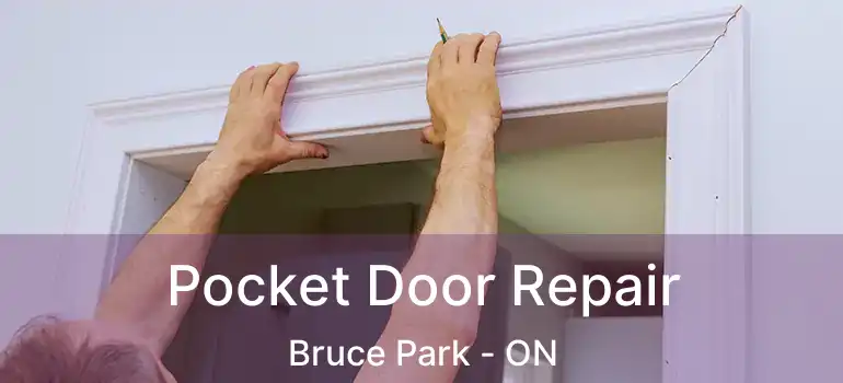  Pocket Door Repair Bruce Park - ON