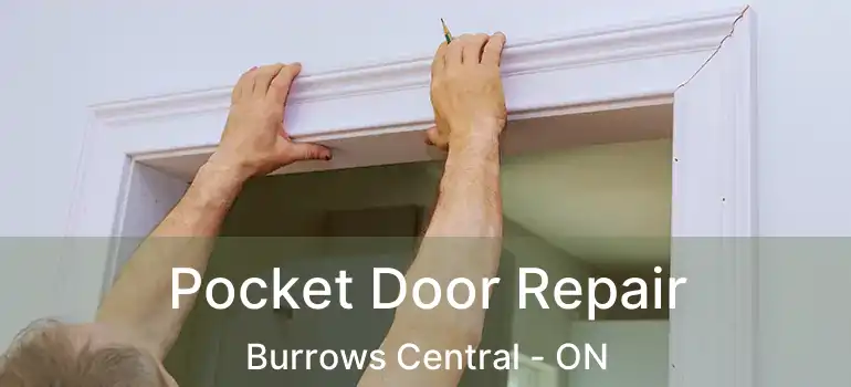  Pocket Door Repair Burrows Central - ON