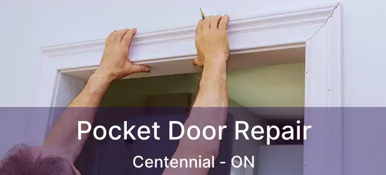  Pocket Door Repair Centennial - ON
