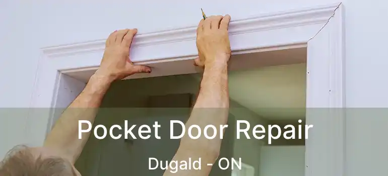 Pocket Door Repair Dugald - ON