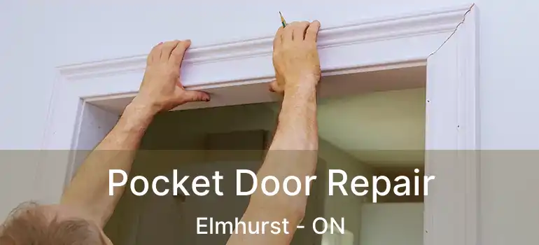  Pocket Door Repair Elmhurst - ON