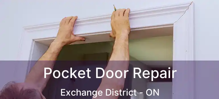  Pocket Door Repair Exchange District - ON