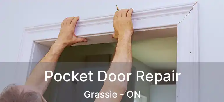  Pocket Door Repair Grassie - ON