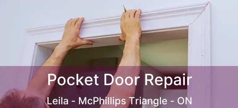  Pocket Door Repair Leila - McPhillips Triangle - ON