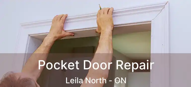  Pocket Door Repair Leila North - ON