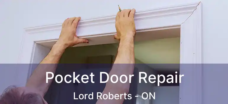  Pocket Door Repair Lord Roberts - ON