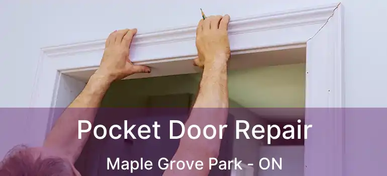  Pocket Door Repair Maple Grove Park - ON