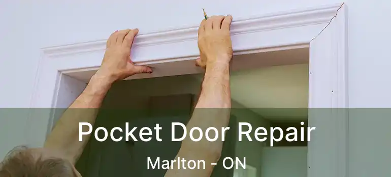  Pocket Door Repair Marlton - ON