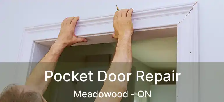 Pocket Door Repair Meadowood - ON