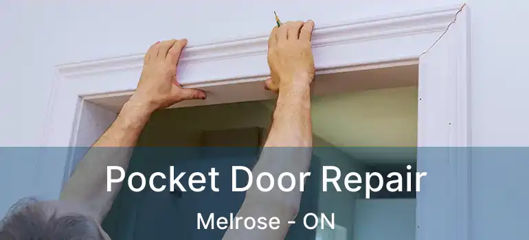  Pocket Door Repair Melrose - ON