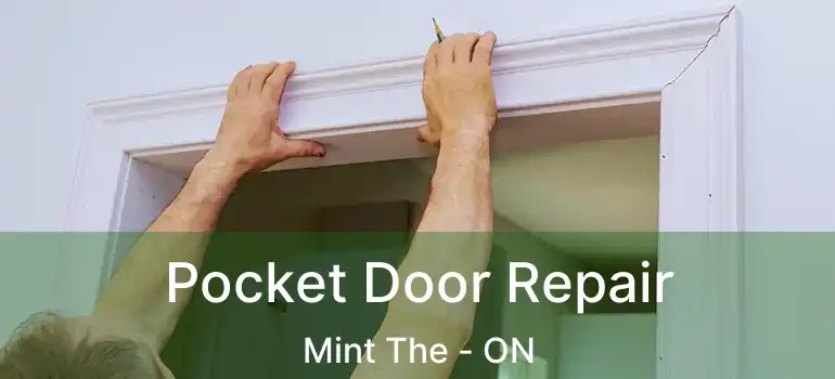  Pocket Door Repair Mint The - ON