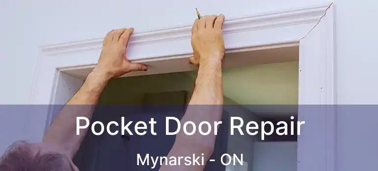  Pocket Door Repair Mynarski - ON