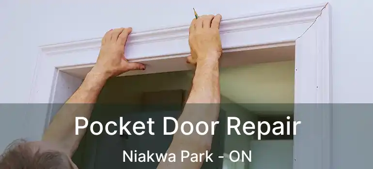  Pocket Door Repair Niakwa Park - ON