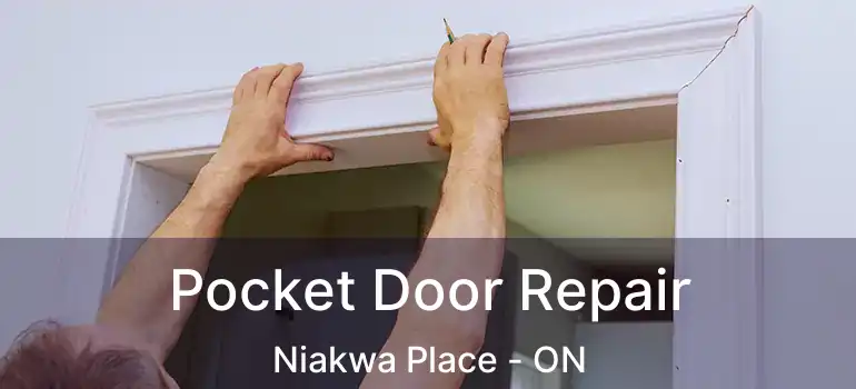  Pocket Door Repair Niakwa Place - ON
