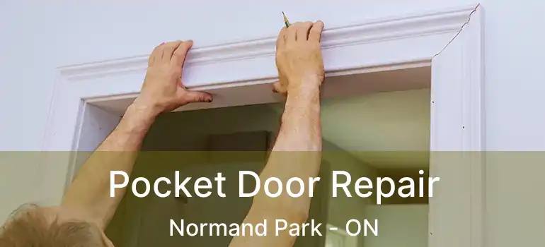  Pocket Door Repair Normand Park - ON