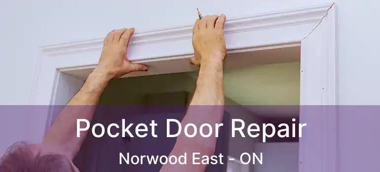  Pocket Door Repair Norwood East - ON